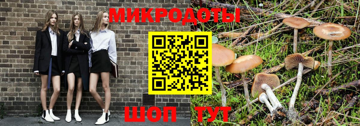 Псилоцибиновые грибы Magic Shrooms Кудрово